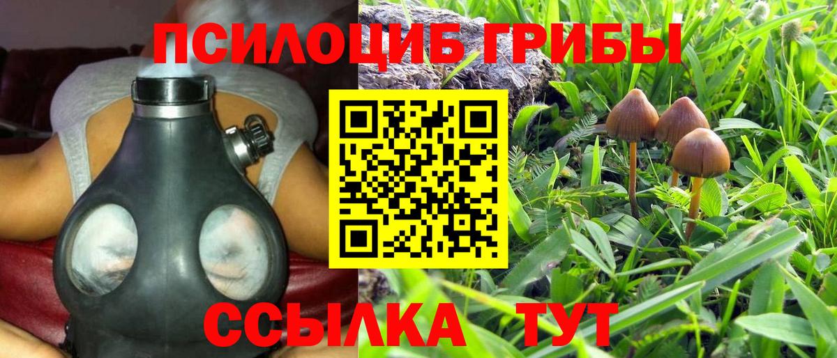 Минусинск  Галлюциногенные грибы Psilocybe  Вход с VPN  Псилоцибиновые грибы Cubensis 