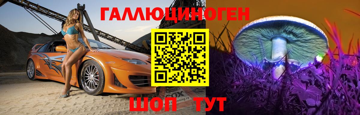 Псилоцибиновые грибы Cubensis Минусинск